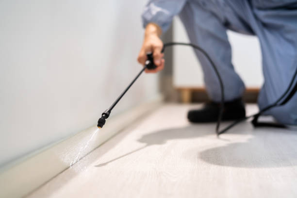Bed Bug Pre-Treatment Preparation Assessment in Grandview Plaza
