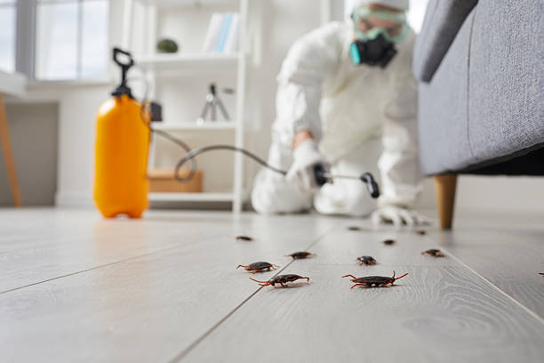 Post-Treatment Bed Bug Interceptor Monitoring in Grandview Plaza
