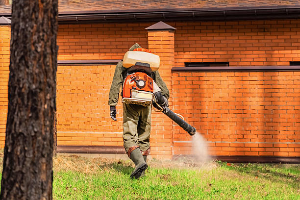 Bed Bug Clearance Verification and Documentation in Grandview Plaza